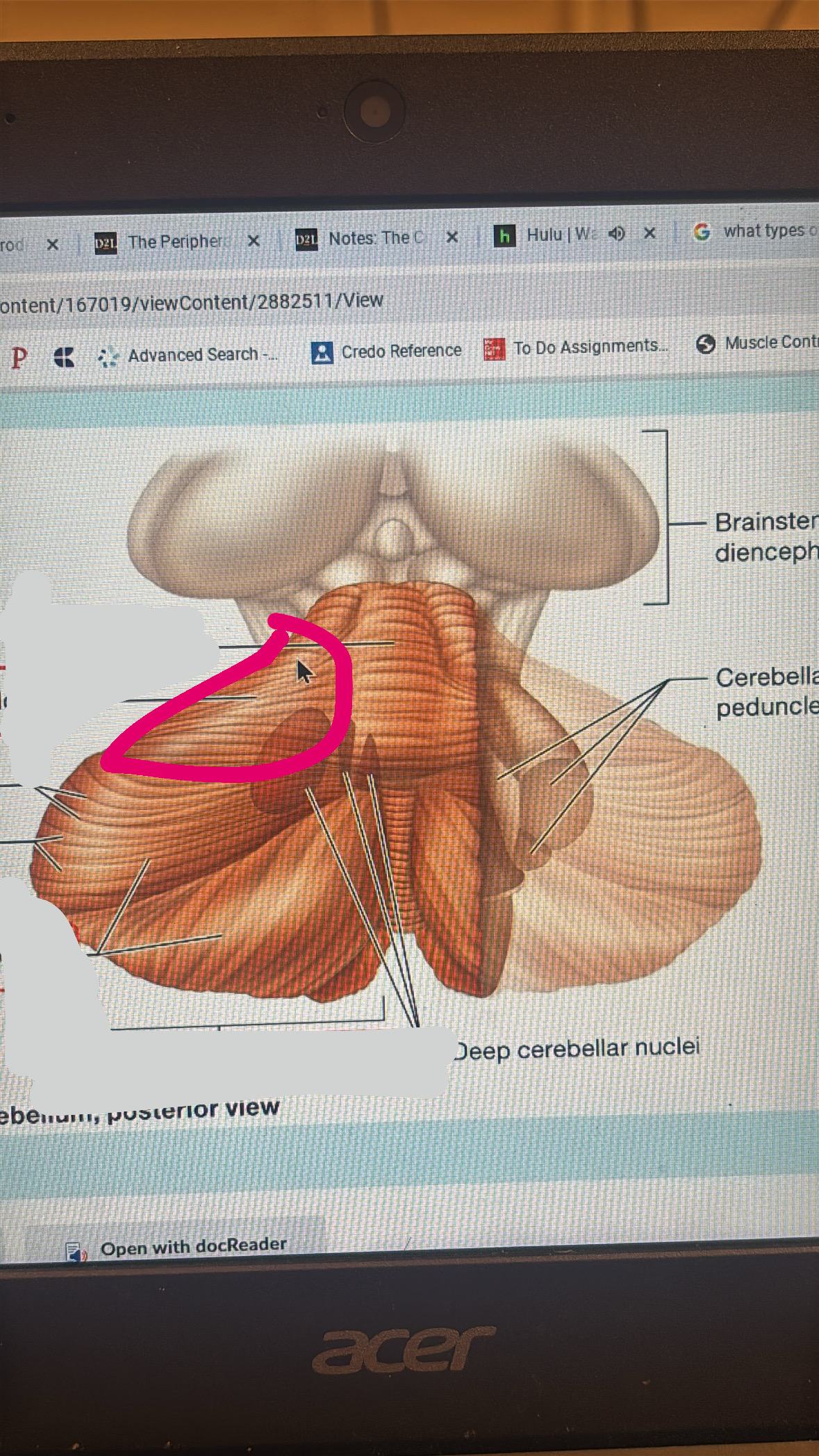 knowt flashcard image