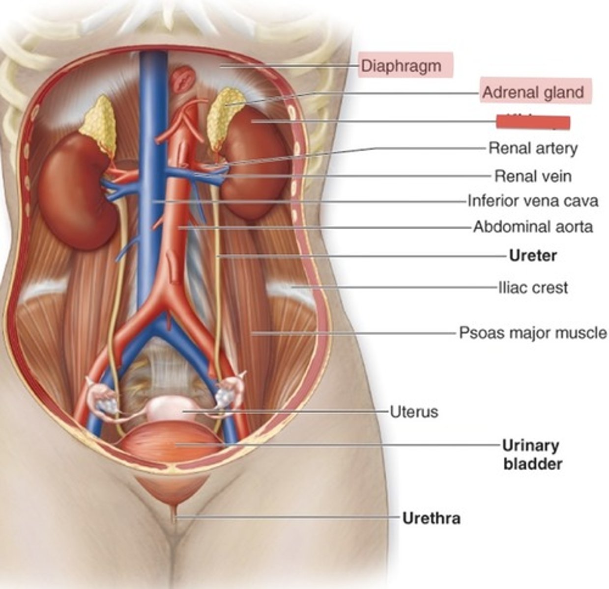 <p>What is this?</p>