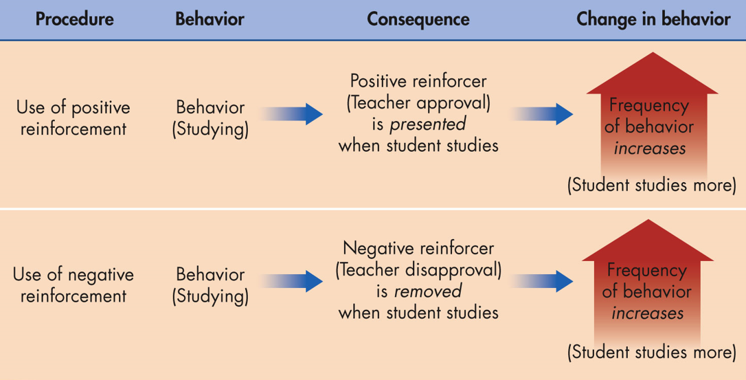 <p><span>a stimulus increases the probability that a behavior will occur again</span></p>