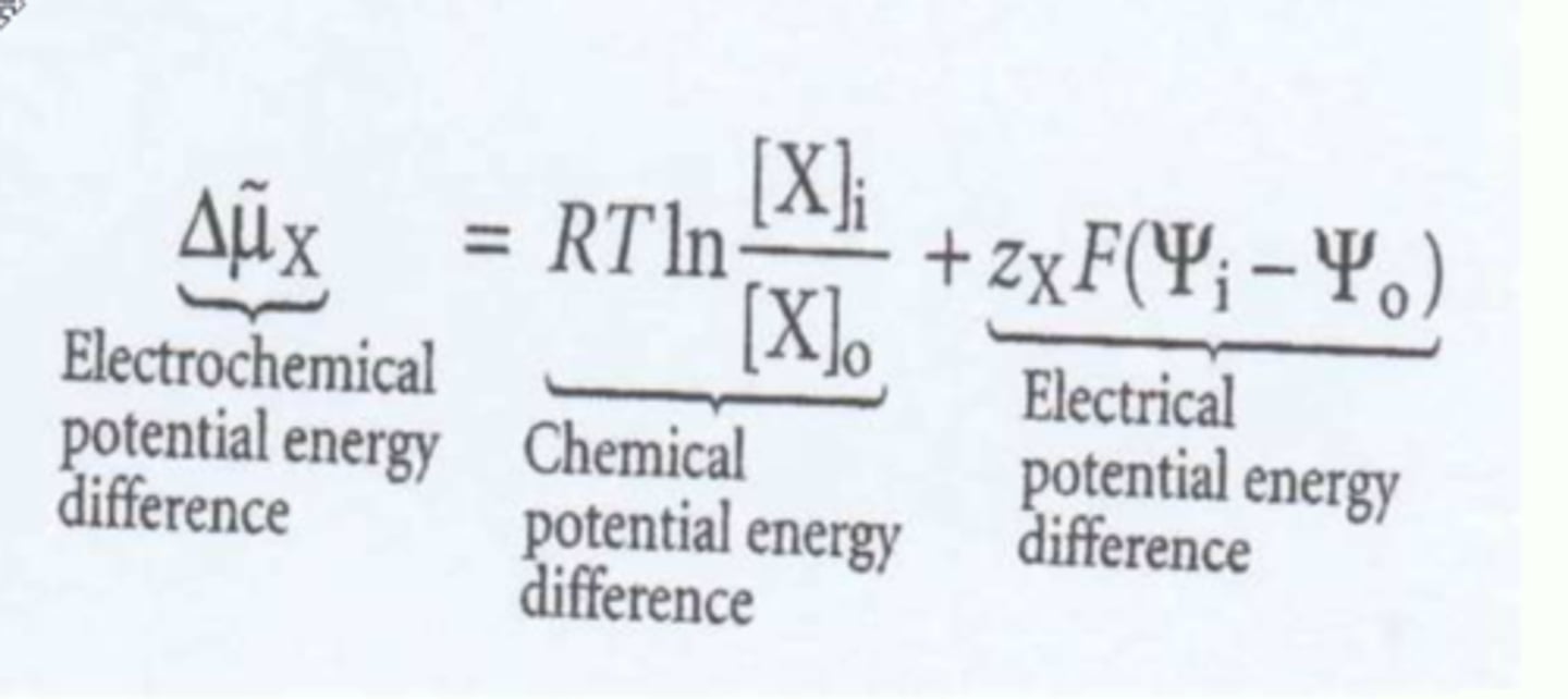 <p>There are two components; charge difference/ potential across the membrane and chemical difference/ potential.</p>