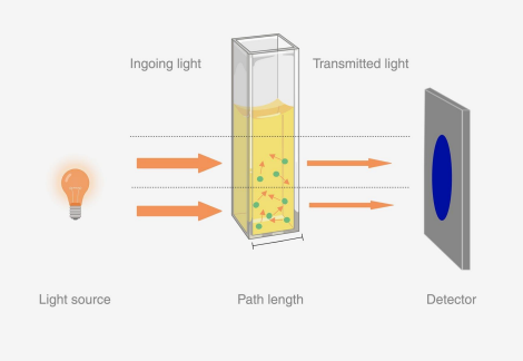 <p>How do it measure glucose?</p><ul><li><p>This is your tube, it contains serum, glucose molecules, tapos mayda kita light source, once this light passes through the tube, it ig meameasure iton intensity han light na naka pass through han tube this detector.</p></li><li><p>This detector will measure the glucose level. </p></li><li><p>Wavelenthg selector will just select the specific wavelength of glucose.</p></li></ul><p></p>