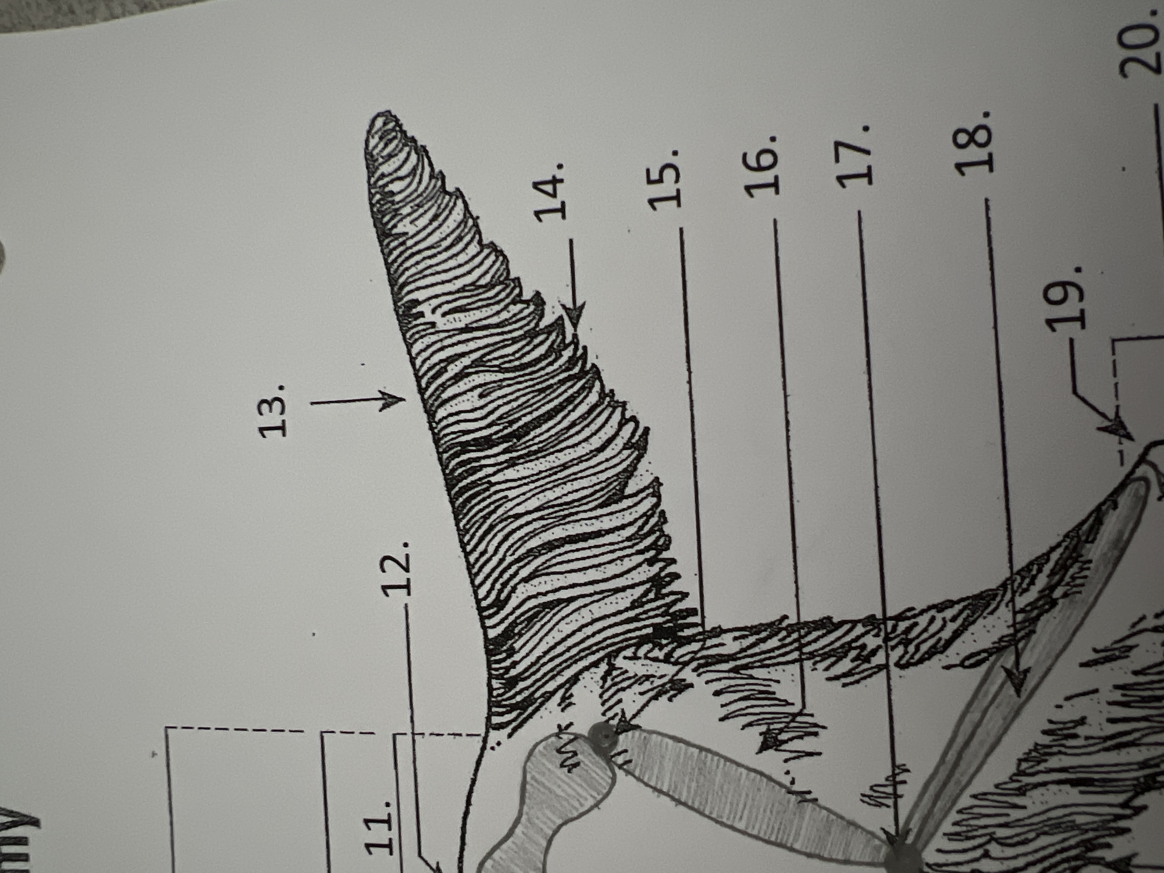 
14. \
