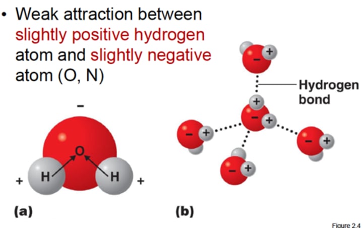 <p>The weak intermolecular bonds that form between the hydrogen atom of one water molecule and the oxygen atom of another water molecule.</p>