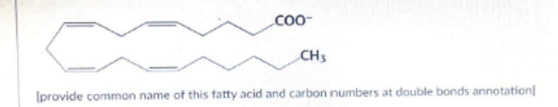 <p>following fatty acid is characterized and identified commonly as a polyunsaturated fatty acid. Provide its common and positions of double bonds by numbering system</p>