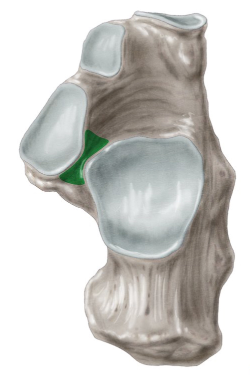 <p>What is this?</p>