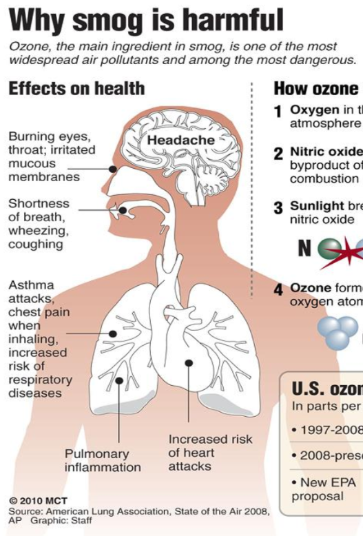 <ul><li><p>Burning eyes, throat</p></li><li><p>Shortness of breath - coughing and wheezing</p></li><li><p>Asthma attacks - chest pain</p></li><li><p>Increased risk of respiratory diseases</p></li></ul>