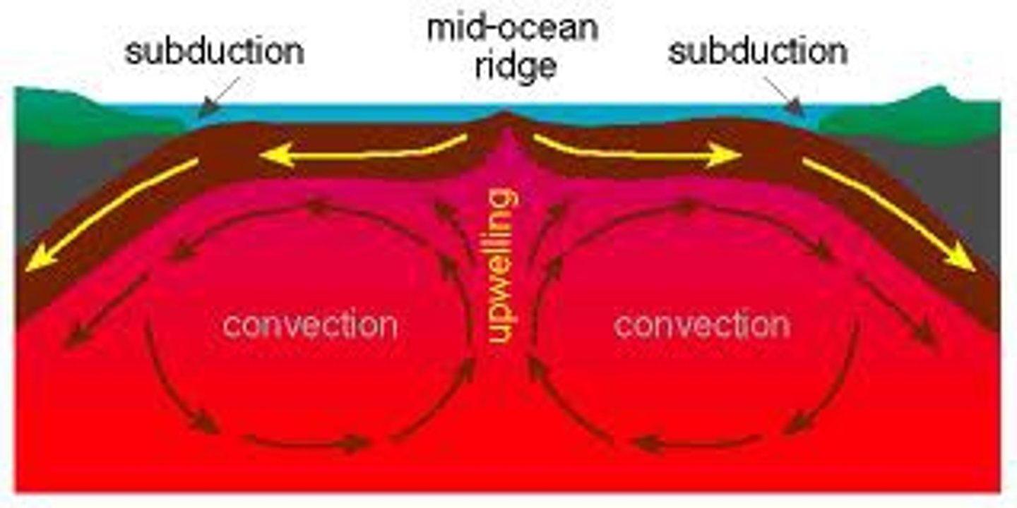 <p>mantle convection</p>