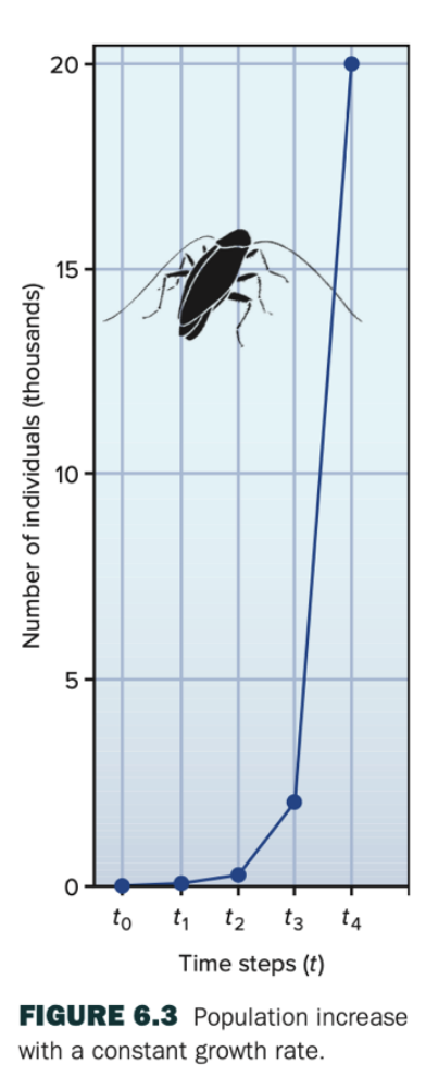 <p>Fig 6.3: Is the rate of change (in individuals) constant? Does this represent linear,</p><p>exponential, or logistic growth?</p>