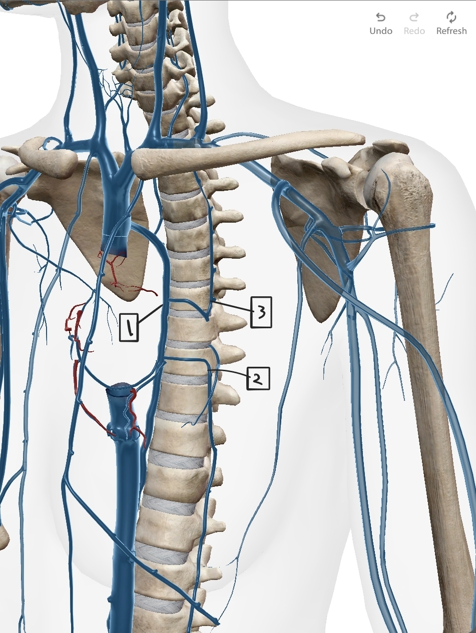 <p>What are these?</p>