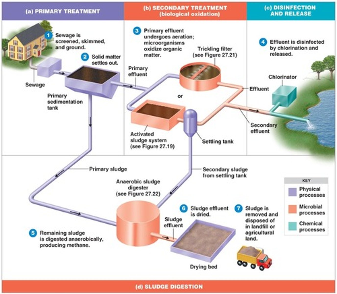<p>Bacteria breakdown organic waste, aeration accelerates the process.</p>