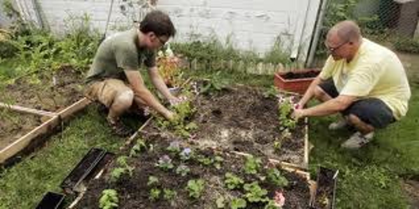 <p>vt.培养,耕作</p>