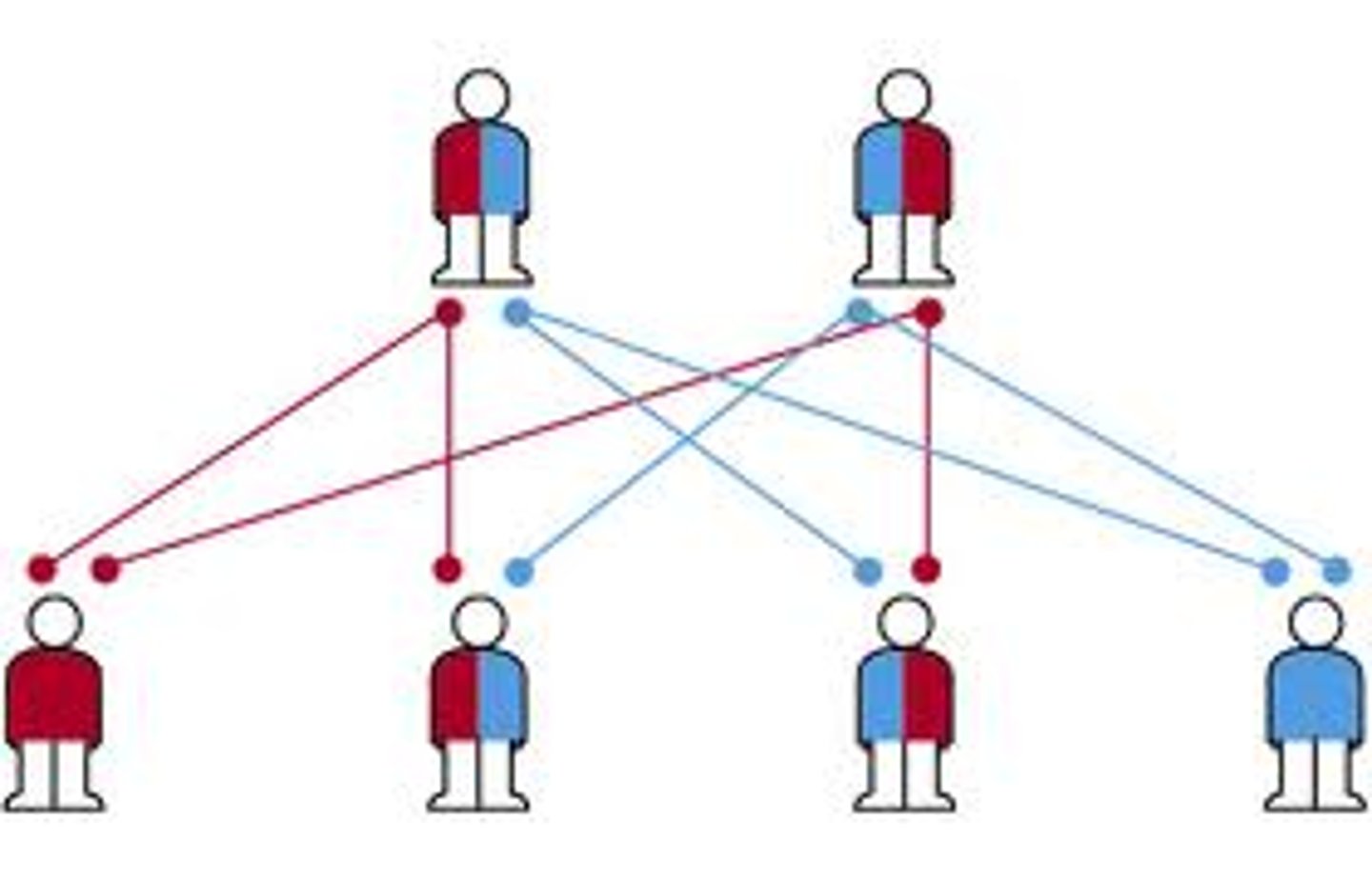 <p>Traits or genetic information passed down from parent to offspring through genes.</p>