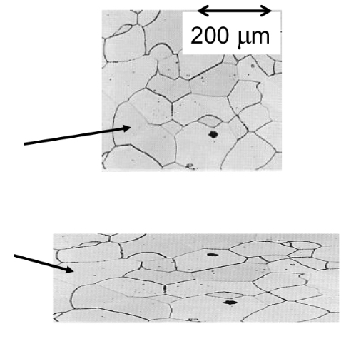 <p>Isotropy</p>