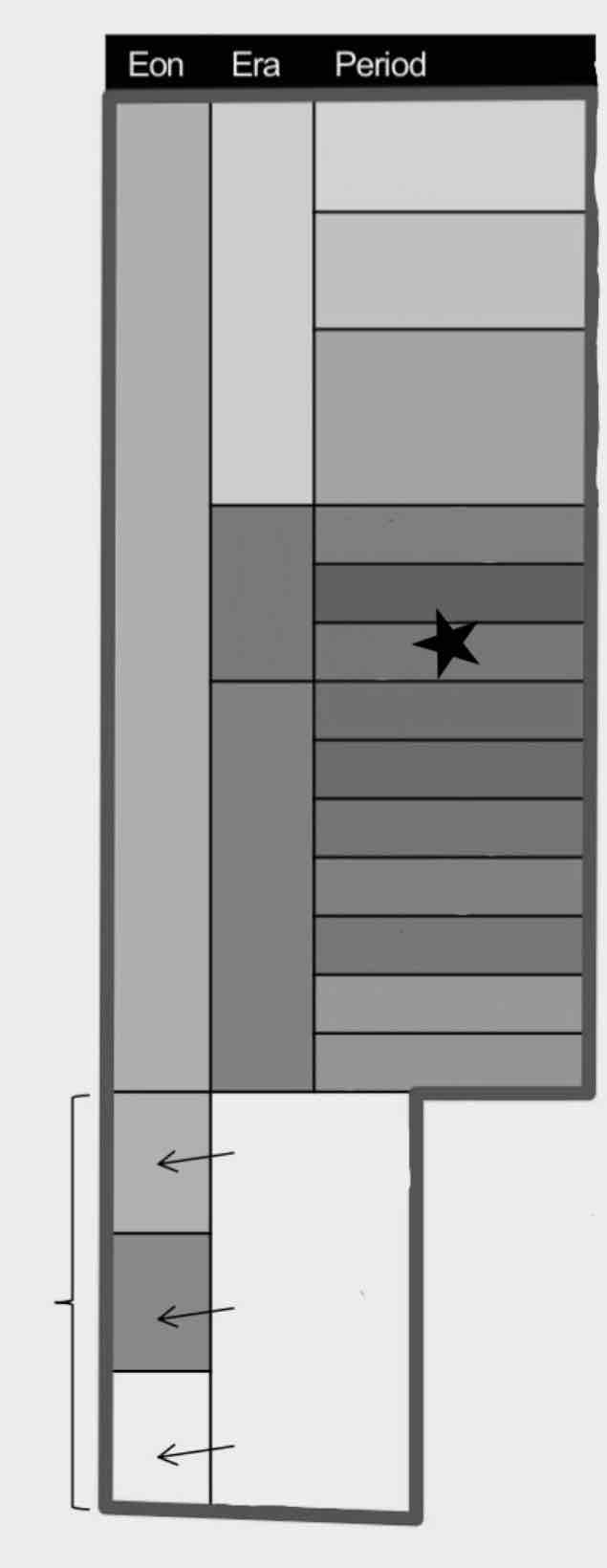 <p>What period is this?</p>