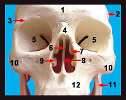 <p>#9</p>