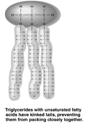 The figure above shows a triglyceride that is liquid at room temperature.