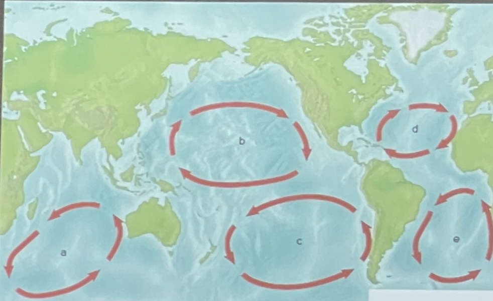 What are these large, circular currents in the major ocean basins called?