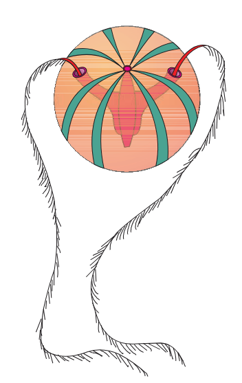 <p>What is this organism</p>