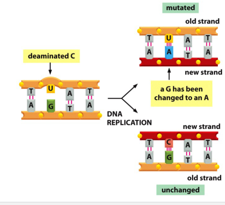 <p>What is this&nbsp;</p>