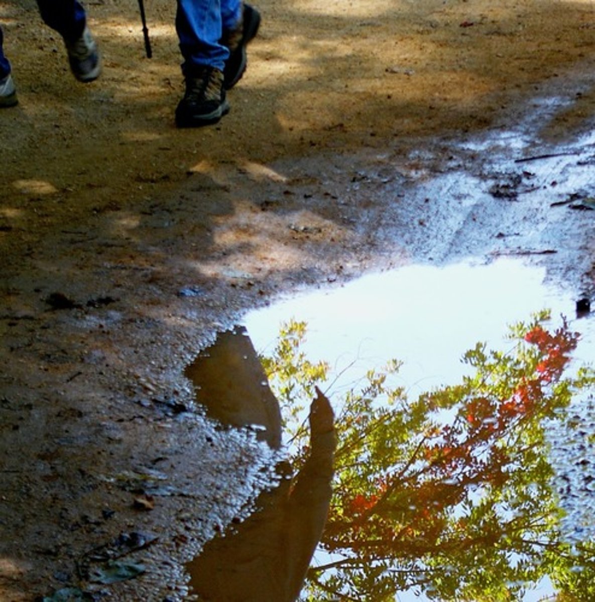 <p>a small pool of water that is left on the ground after it has rained (vũng nước)</p><p>ex: Our dog loves jumping in puddles</p>