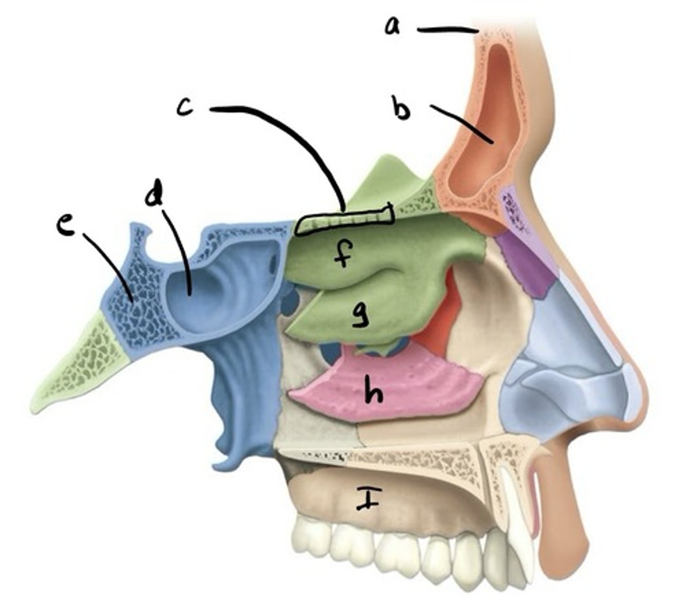 <p>B</p>