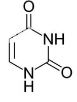 <p>what molecule is this</p>