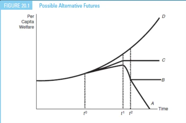 <ol><li><p>the existence of positive sustainable welfare levels</p></li><li><p>the magnitude of sustainable welfare vs. current levels</p></li><li><p>sensitivity to current actions</p></li></ol><p></p>