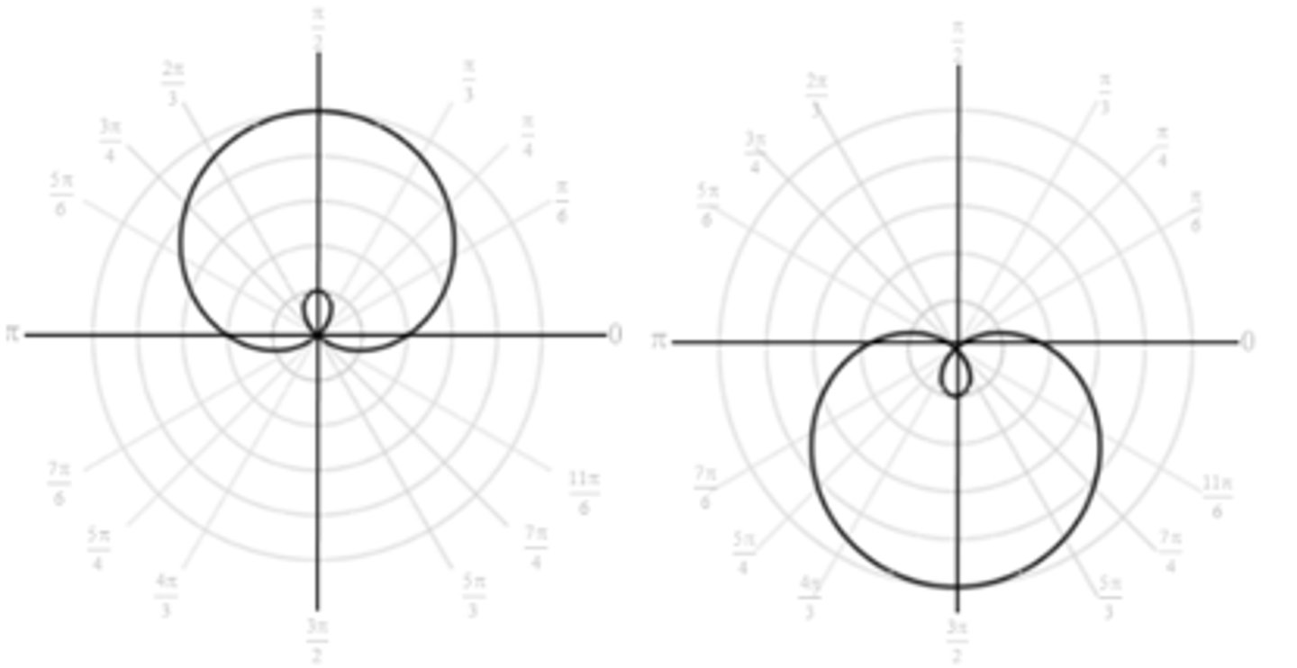<p>Limacon with an inner loop, centered on line θ = π/2</p>