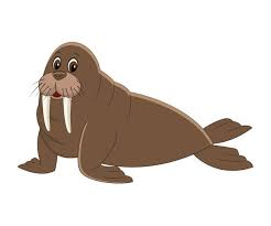 <p>(Noun) - A large marine mammal with tusks, related to seals, found in Arctic regions. They are known for their distinctive appearance and thick layer of blubber. Example: We saw a walrus basking in the sun. (中文：海象)</p>