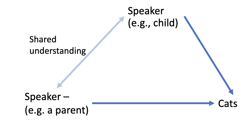 <p>It is the shared understanding or perception between two people.</p>