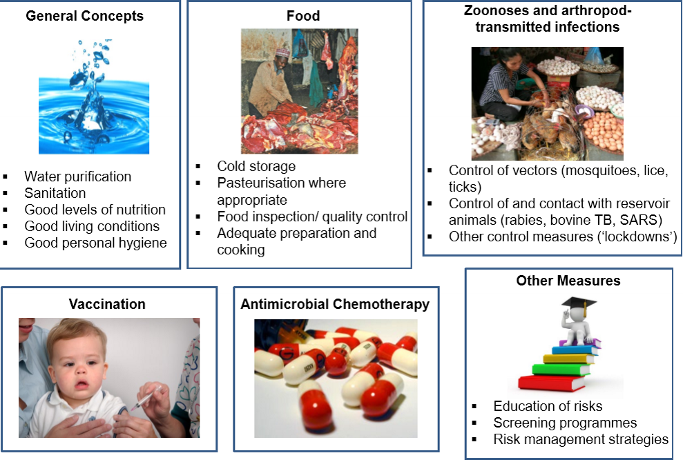 <ul><li><p>water purification</p></li><li><p>sanitation</p></li><li><p>good levels of nutrition</p></li><li><p>good living conditions (overcrowding)</p></li><li><p>good personal hygiene&nbsp;</p></li><li><p>food- cold storage</p></li><li><p>pasteurization</p></li><li><p>food inspection and quality control</p></li><li><p>adequate preparation and cooking e.g. meat</p></li><li><p>control of vectors e.g. mosquitoes, rats, lices, ticks</p></li><li><p>control of and contact with reservoir animals (rabies, bovine, TB, SARS)</p></li><li><p>control measures e.g. lockdown</p></li><li><p>vaccination</p></li><li><p>antimicrobial chemotherapy</p></li><li><p>education of risk</p></li><li><p>screening programmes</p></li><li><p>risk management strategies e.g. for covid or flu&nbsp;outbreak</p></li></ul><p></p>