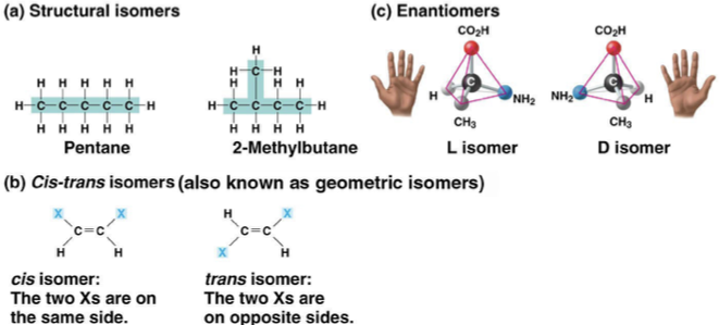 <p>structural isomers</p><p>cis-trans isomers</p><p>enantiomers- important in pharmaceutical industry because they may have different effects, or only one of them are biologically active. organisms are sensitive to even subtle variaitons in molecules.</p><p>ex) Ibuprofen- S is effective/ R is not</p><p>Albuterol- R is effective/ S is not</p>