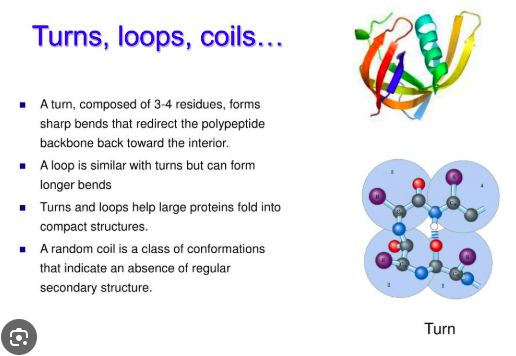 <p>On the surface of proteins.</p>