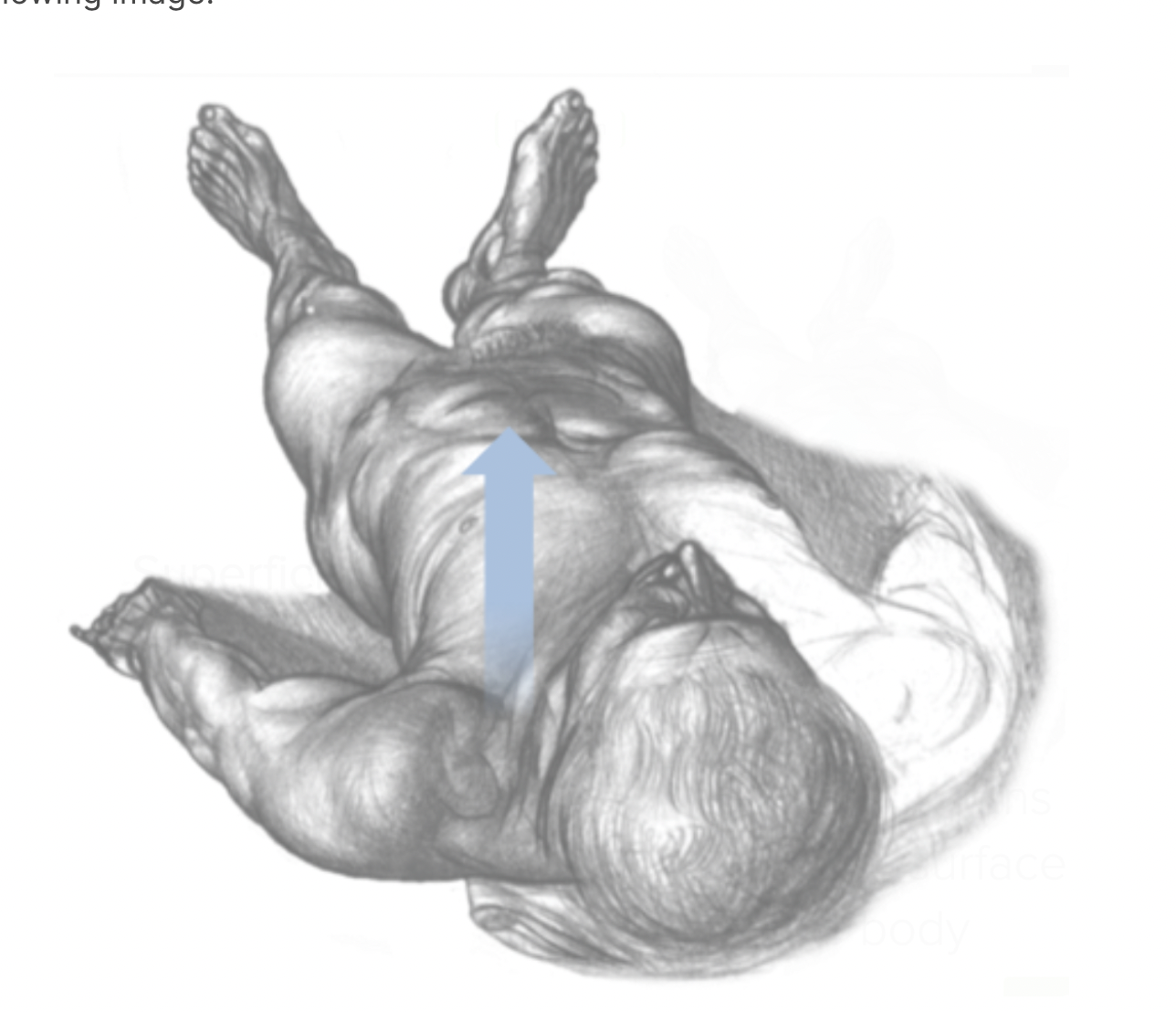 <p><strong>Superficial </strong>means closer to the body's surface </p>