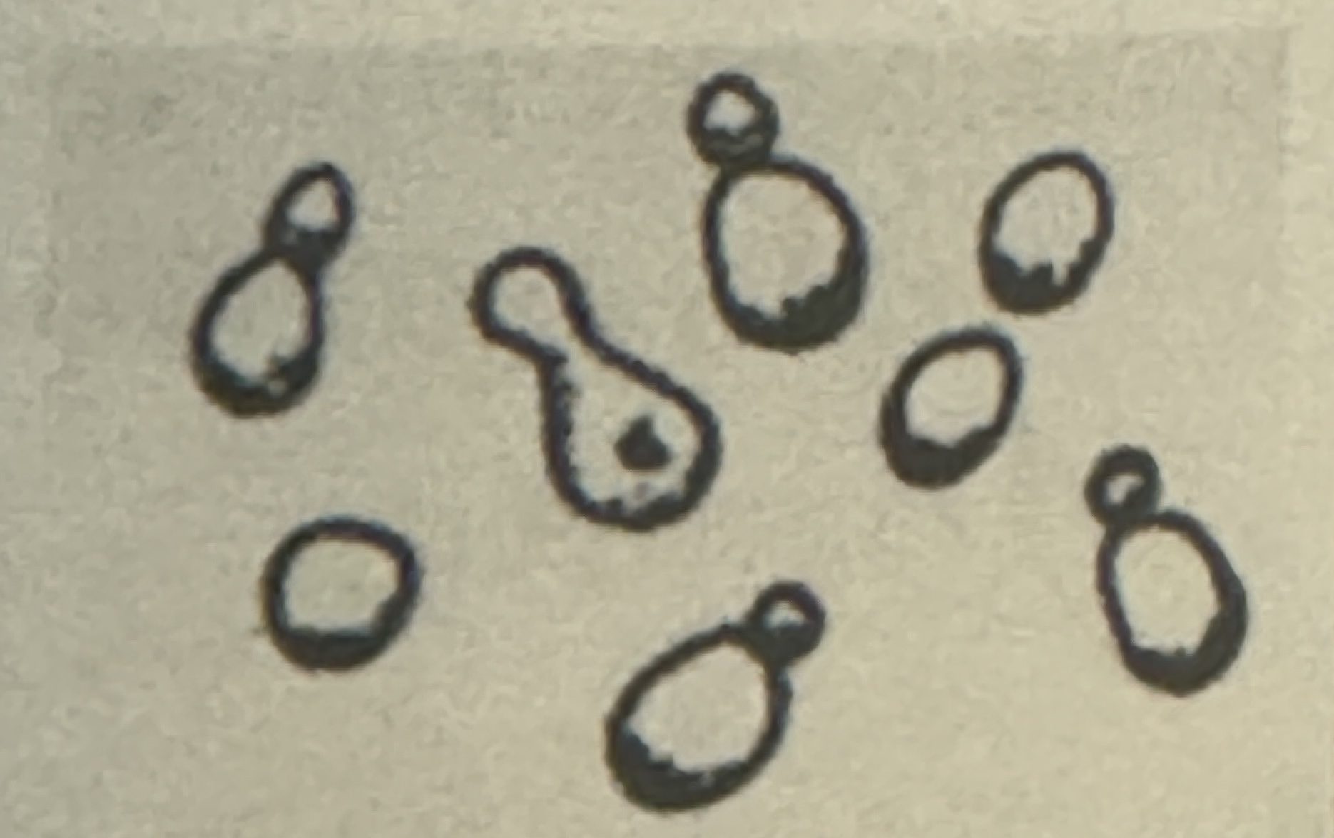 <p><span>what is illustrated</span></p>