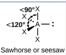 <p>trigonal bipyramidal, seesaw</p>