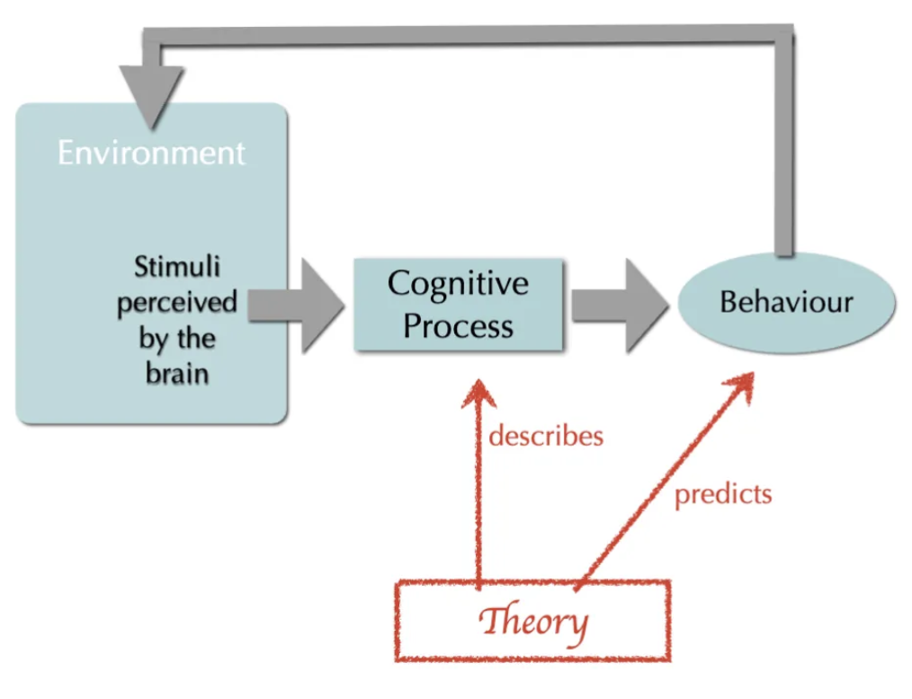 <ul><li><p>environment (stimuli perceived by brain) → cognitive process → behavior (sometimes behavior leads back to environment and affects/changes it)</p></li></ul><p>*the theory is interested in describing the cognitive process and predicting the behavior, not really interested in manipulating the environment</p>