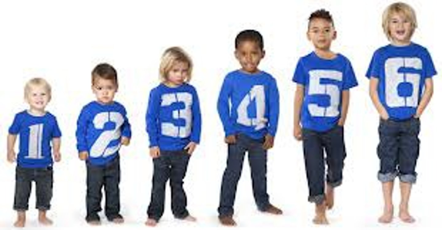 <p>How many are there?</p>