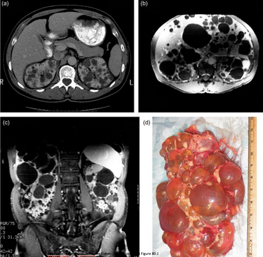 <p>What is shown from these images?</p>