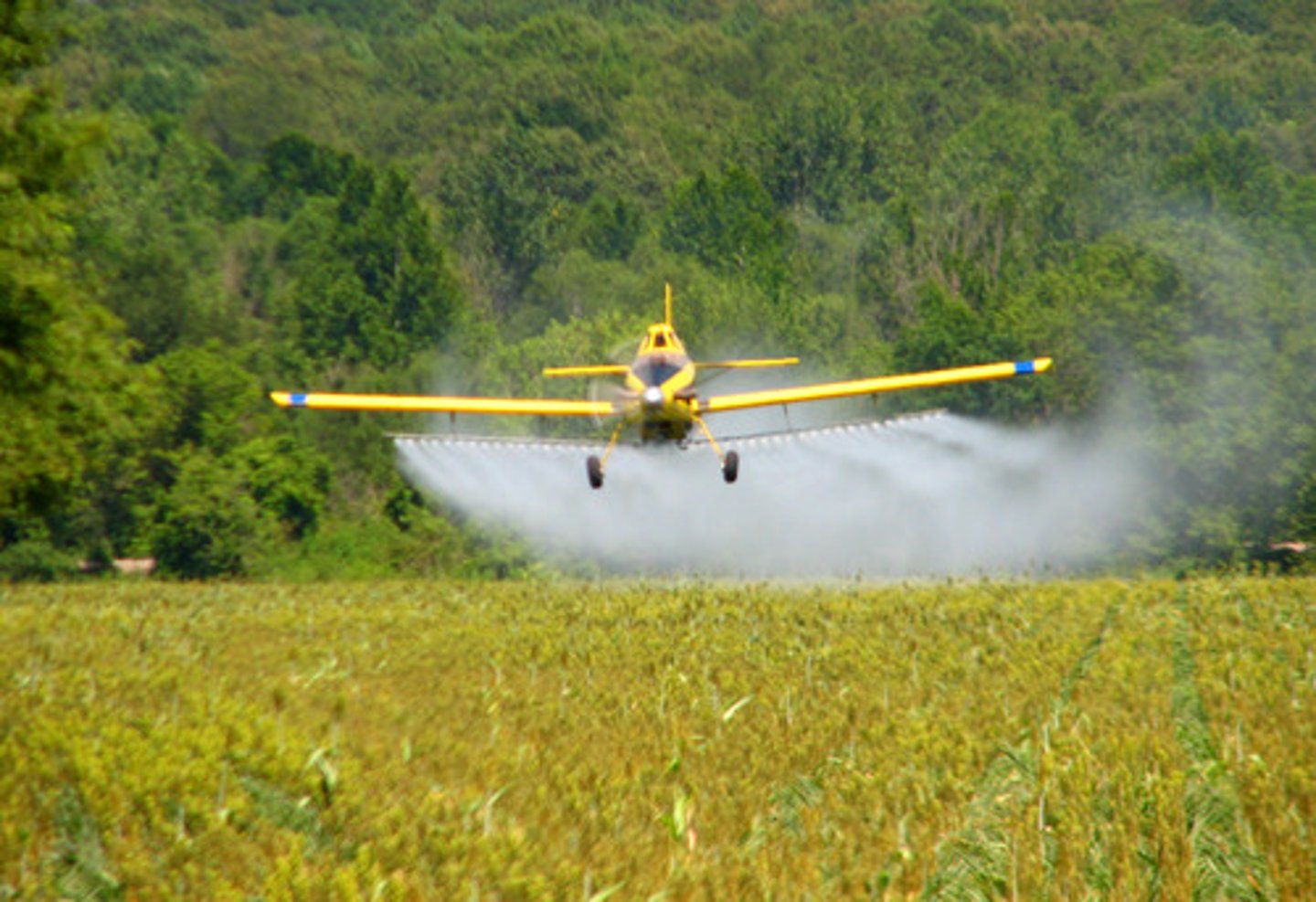 <p>Spraying pesticides or fertilizers from aircraft.</p>