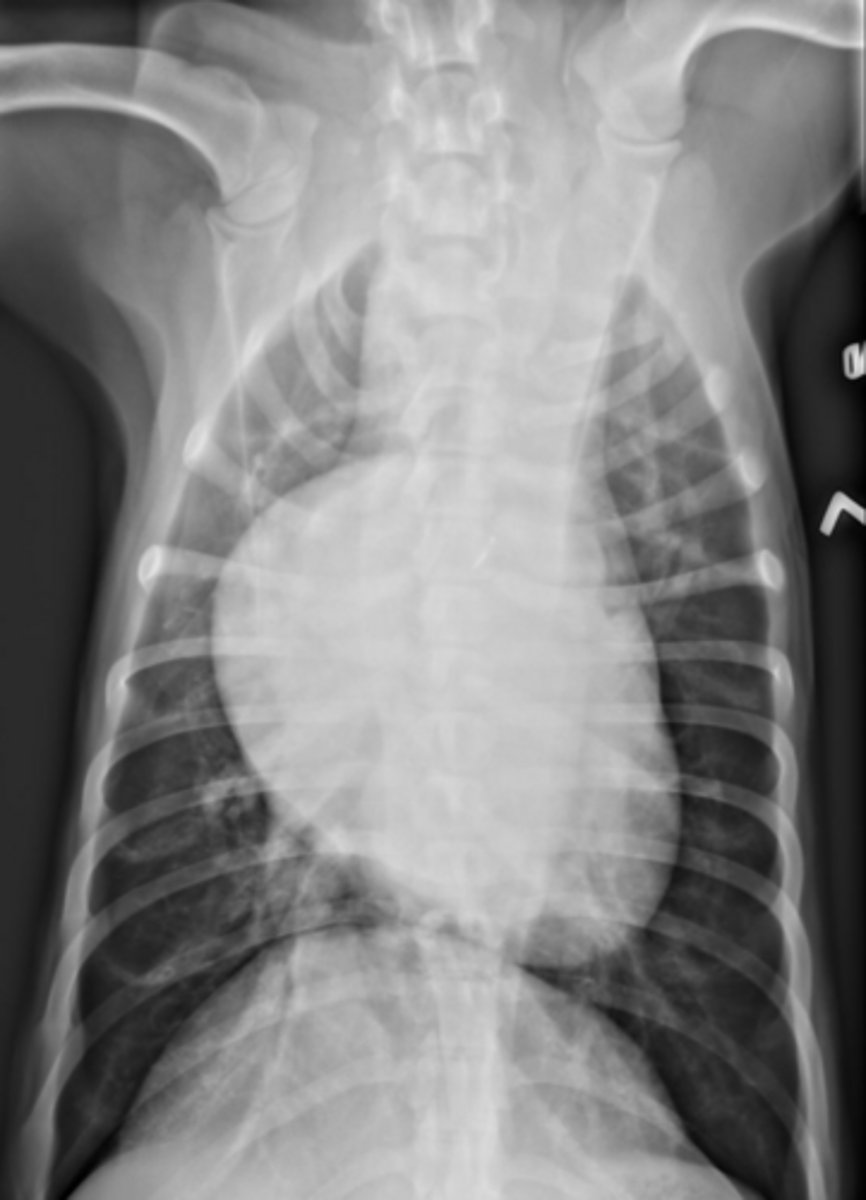 <p>What is your dx?</p>