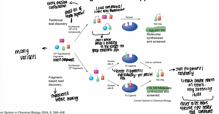 <ul><li><p>HTS uses the hypothetical fragments and reacts all of those together to make 10^8 potential compounds, unknown what is binding in the target, 100000000 molecules made, 100 hits made</p></li><li><p>Fragment looks at the fragments and screens individual ligands to see what binds for precise info before reacting together, only makes 10,100 compounds with 100 hits </p></li></ul><p></p>