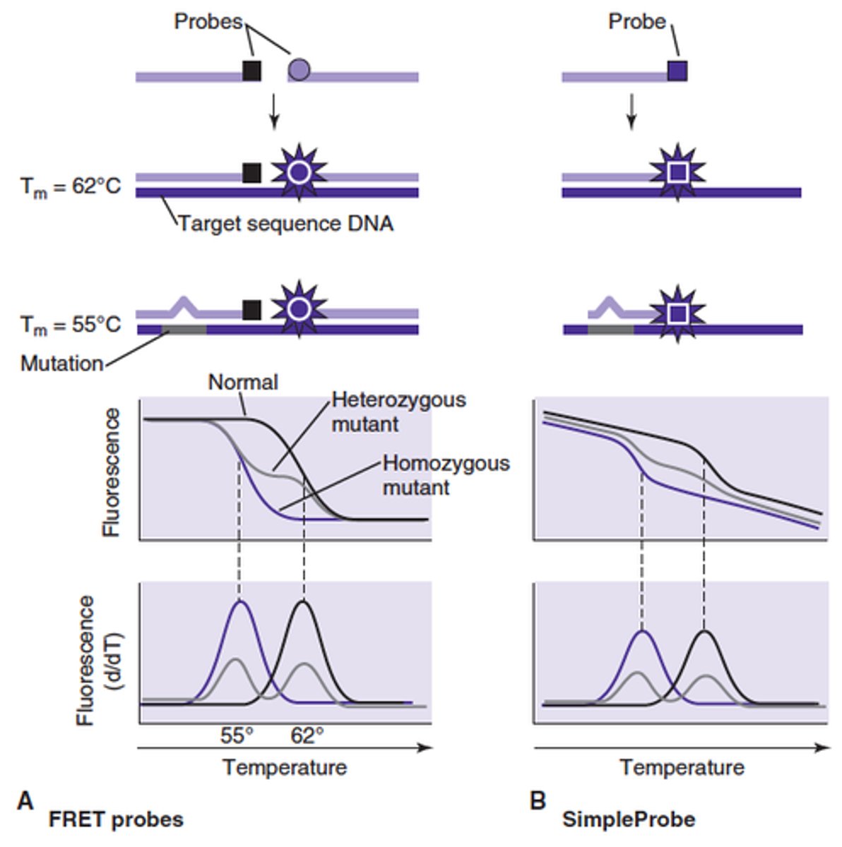 <p>Fluorescence, while incrementally increasing the reaction temperature</p>