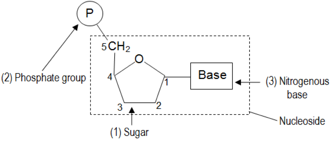 <img src="blob:null/e807f776-e1dc-4432-8c9f-b03e95140ecf">