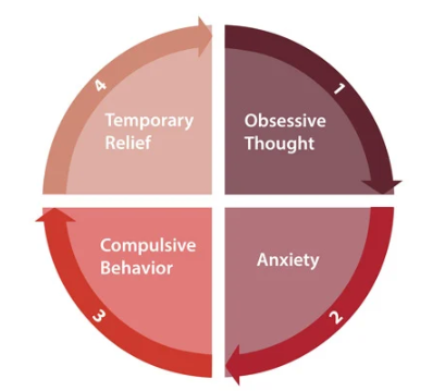 <p>an anxiety disorder where sufferers experience persistent  and intrusive thoughts occurring as obsessions, compulsions or both</p>
<ul>
<li>Presence of obsessions or compulsions</li>
<li>Are time consuming (1hr per day) and cause significant distress</li>
<li>Obsessions/compulsions are not attributable to effects of a substance</li>
<li>A different mental health disorder does not better explain the symptoms</li>
</ul>