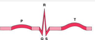 <p>What does each part of the wave mean</p>