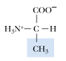 <p>What is the 1 letter abbreviation of Alanine?</p>