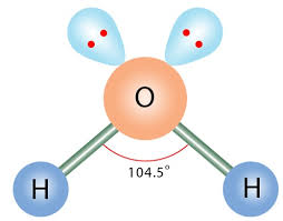 <p>2 bonds, 2 lone pairs, 104.5 bond angle, AB2E2 type</p><p>Ex. H2O</p>