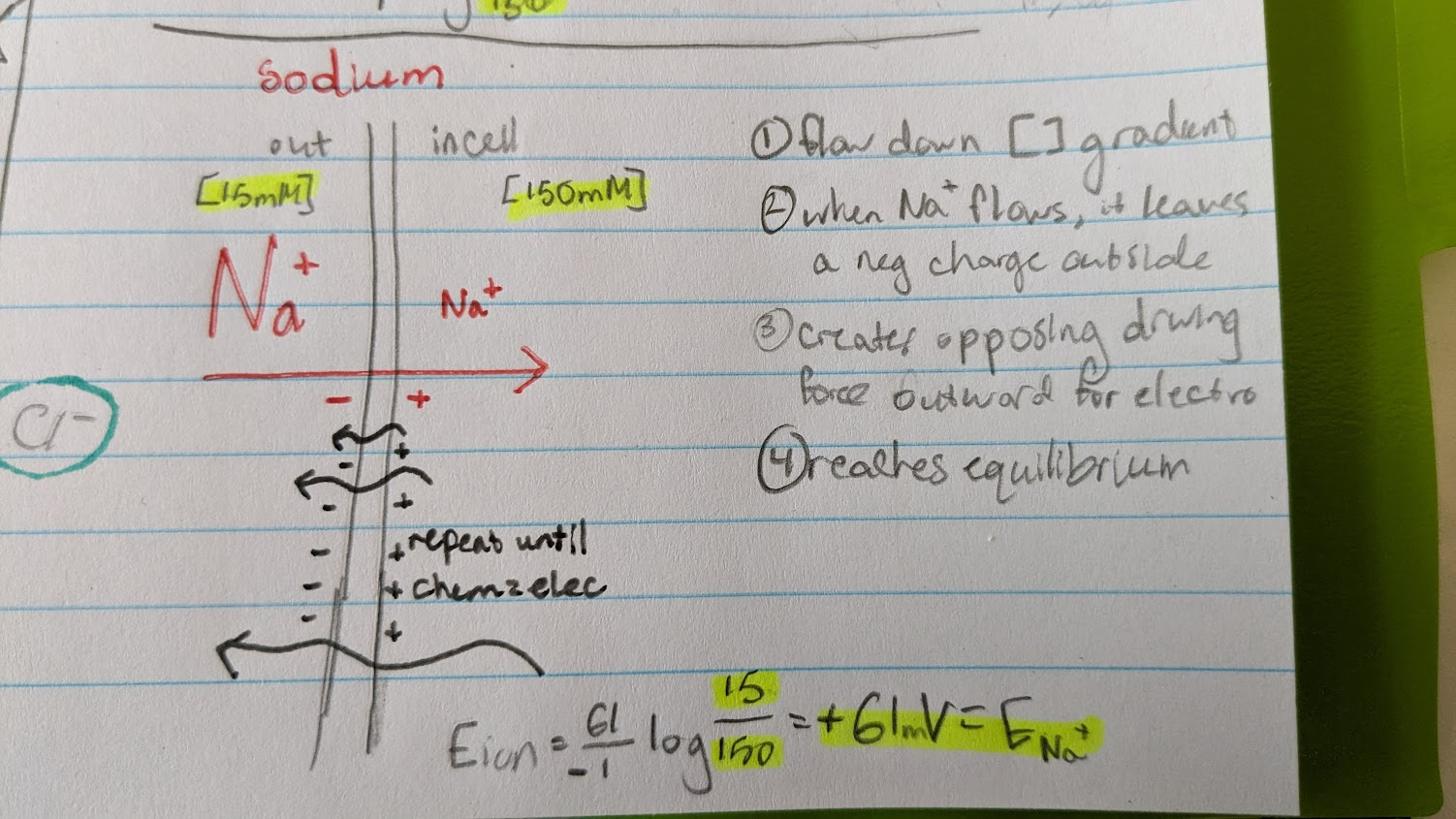<p>final Ena+ = 60mV</p>