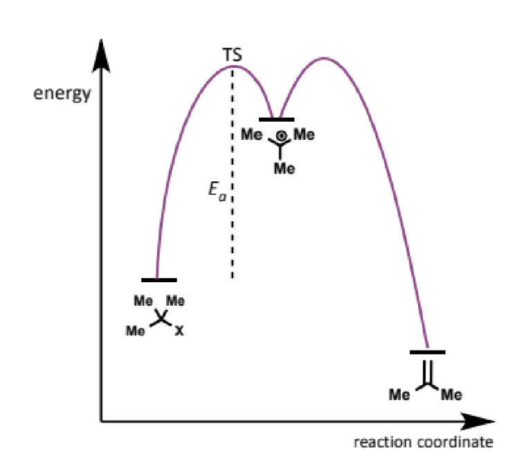 <p>rate = k[XC<sub>4</sub>H<sub>9</sub>]</p>